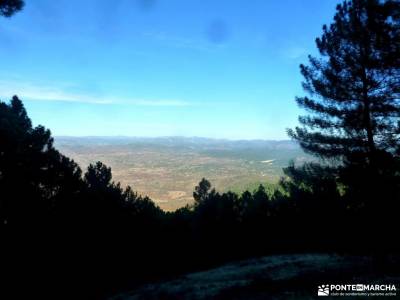 Castañar de El Tiemblo;Ávila; senderismo sierra madrid sitios visitar madrid senderismo madrid rut